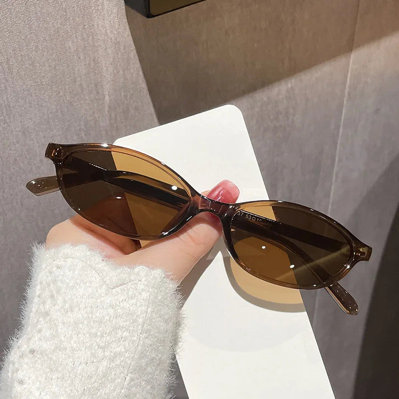 Women's brown leopard sunglasses, small frame, oval retro style